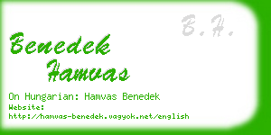 benedek hamvas business card